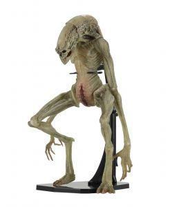 

Фигурка Neca ALIEN Resurrection: Newborn Чужой Воскрешение: Новорожденный Серия Delux (1043343285)