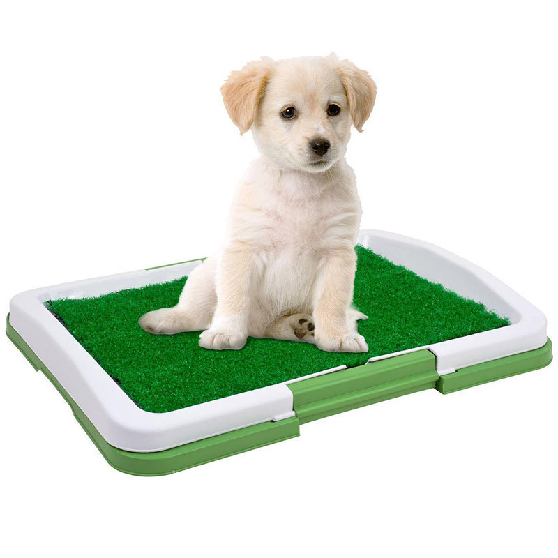 

Туалет лоток для собак Puppy Potty Pad! Лучший подарок