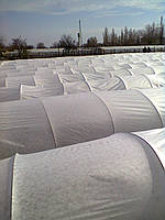 Агроволокно біле "Premium Agro" Р-40 (6,35*100), фото 1