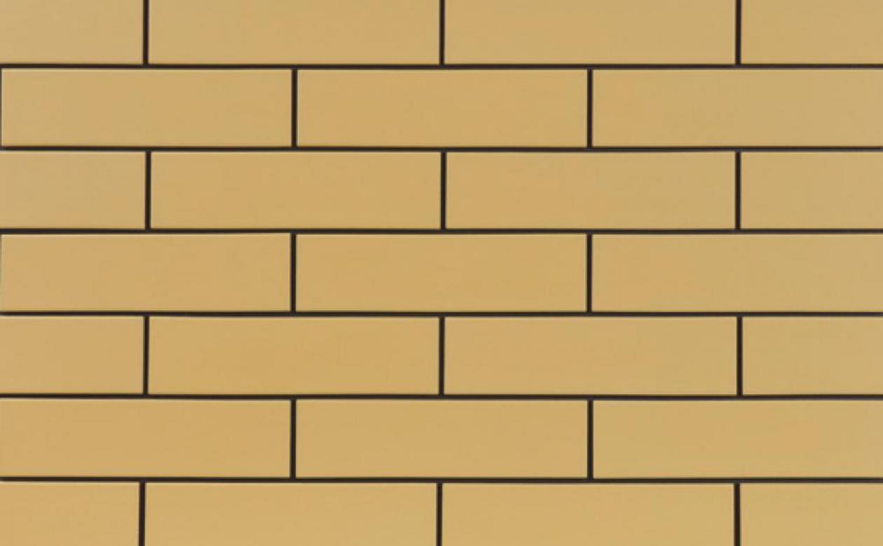 Плитка (Клинкер) Cerrad Piasek фасадная гладкая 245x65x6,5мм (9669), П