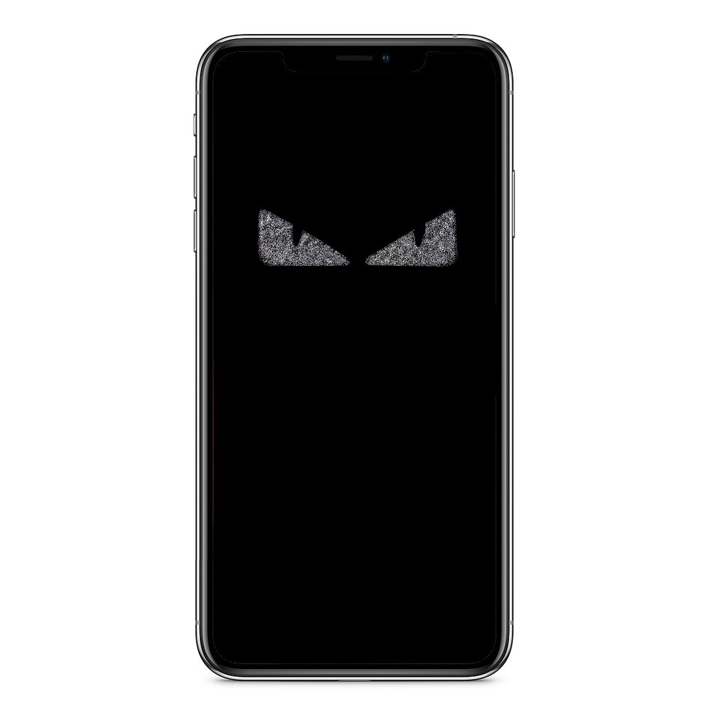 

Защитное стекло Hologram Fendi для iPhone XR / 11 Black, Черный