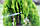 Крапельниця садова Presto-PS "Туман" 12 л/год (МТ-0208), фото 5