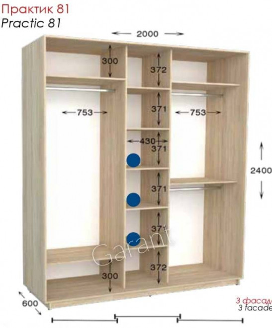 

Шкаф-купе 2000х450х2200 Практик 81 Чернигов