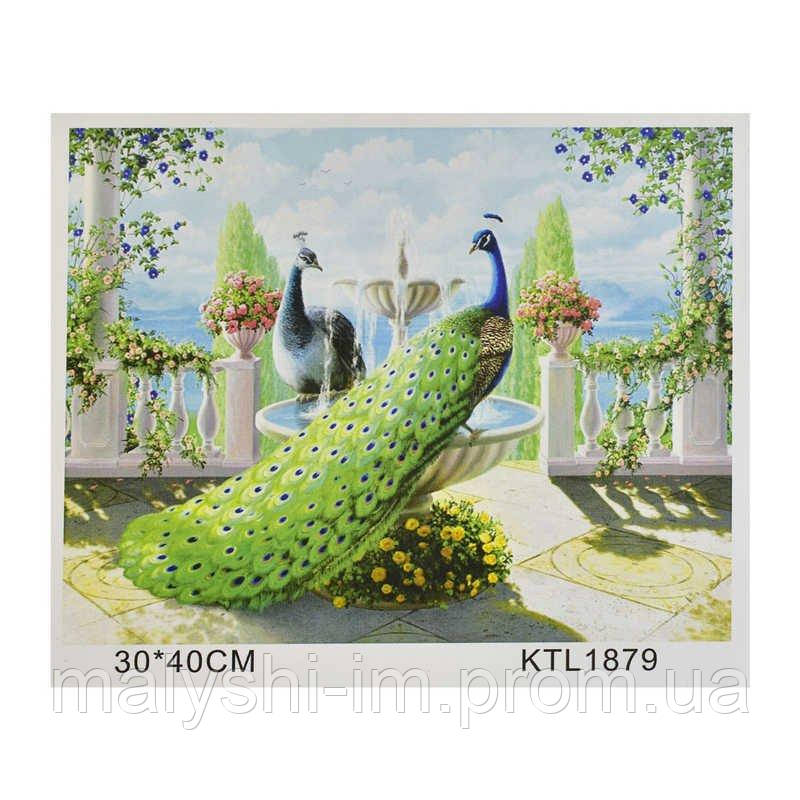 

Картина по номерам (KTL 1879) 40х30