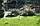 Дождеватель Presto-PS ороситель круговой Ирис (2915), фото 5