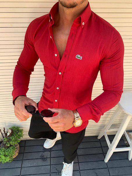 

Мужская стильная рубашка, Турция (8 моделей) L, Красный