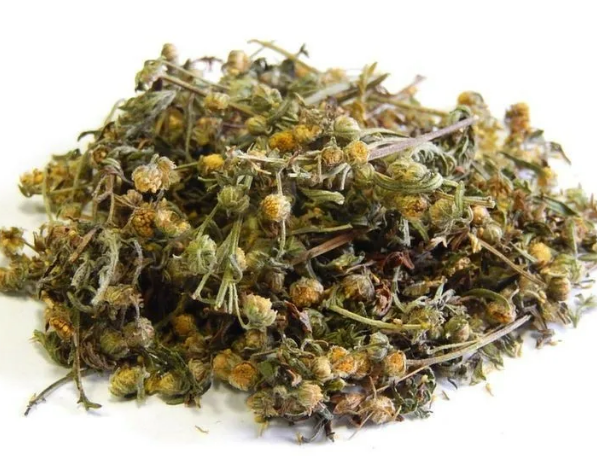 

Полынь горькая (трава) 50 гр (Свежий урожай)