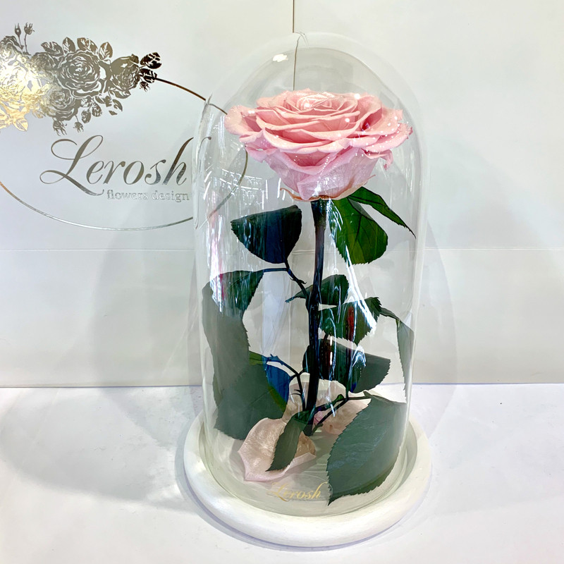 

Розовая Жемчужная роза в колбе Lerosh - Premium 27 см