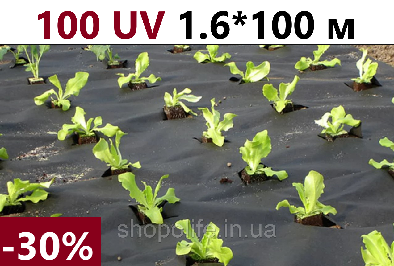 

Агроволокно плотность 100 UV черное 1,6 * 100 AgroStar, термоизоляционные настилы для растений, клубники, Черный