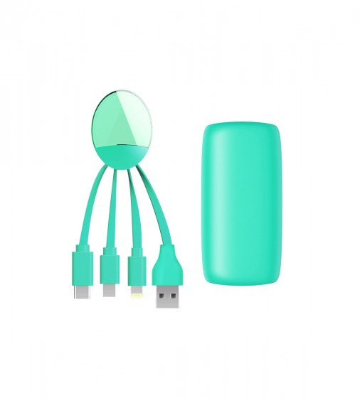 

Портативное зарядное устройство Weekender 5000 mAh Xoopar, Бирюзовый