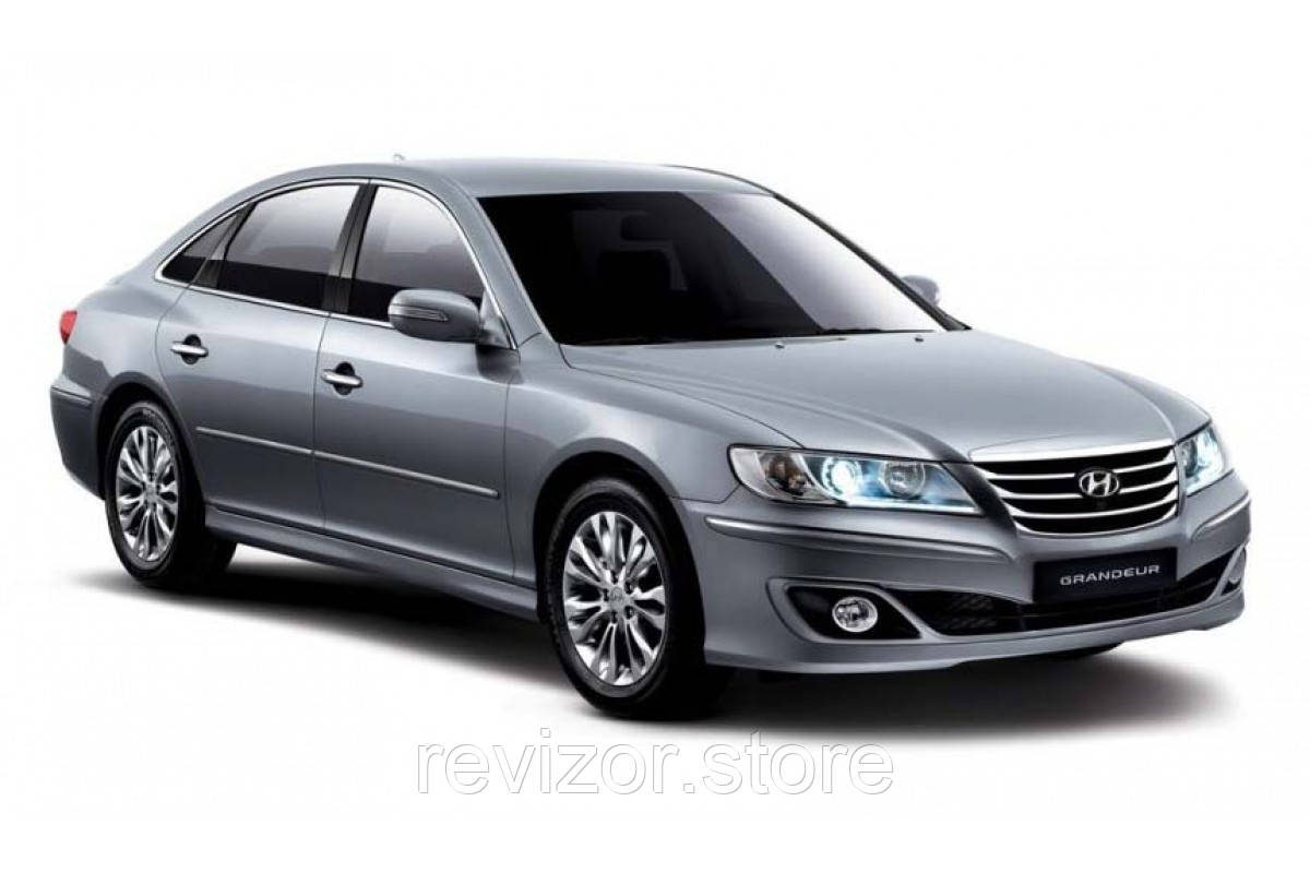 

Автомобильные коврики EVA на Hyundai Grandeur 2005-2012