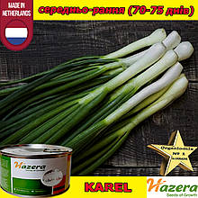 Насіння, цибуля на зелень (перо) КАРЕЛ / KAREL ТМ Hazera, 50 000 насінин