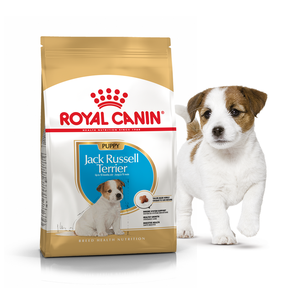 

Корм для собак Royal Canin JACK RUSSEL PUPPY 3 кг (Роял Канин Джек Рассел Паппи)