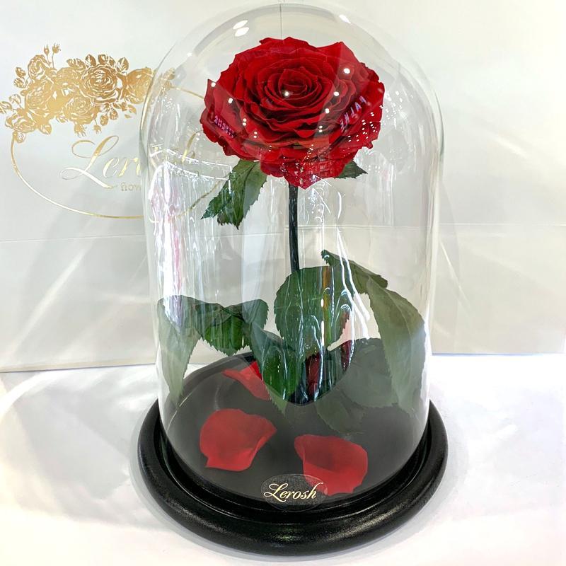 ͛ Долгосвежая Красная роза подарок в стеклянной колбе Lerosh - Lux 33 см M15-279560
