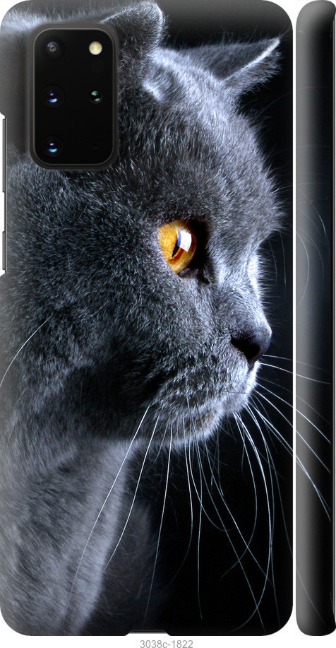 

Чехол на Samsung Galaxy S20 Plus Красивый кот "3038c-1822-40275"