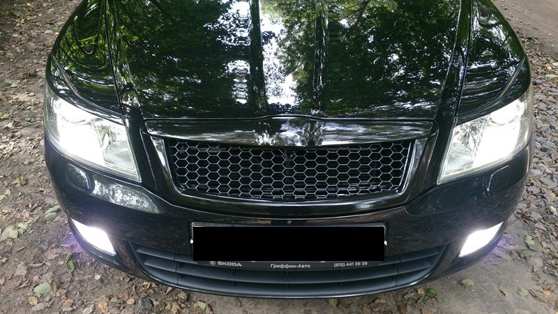 

Решетка радиатора Skoda Octavia A5, Шкода Октавия А5, Серый (грунт)