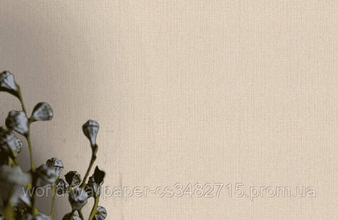 

Rasch Kimono (407938), Бежевый