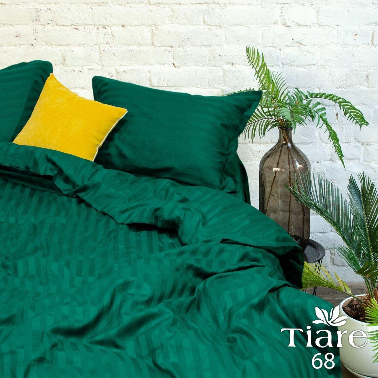 

Комплект постельного белья Viluta Tiare Сатин Страйп № 68 Зеленый Полуторный, Зелёный
