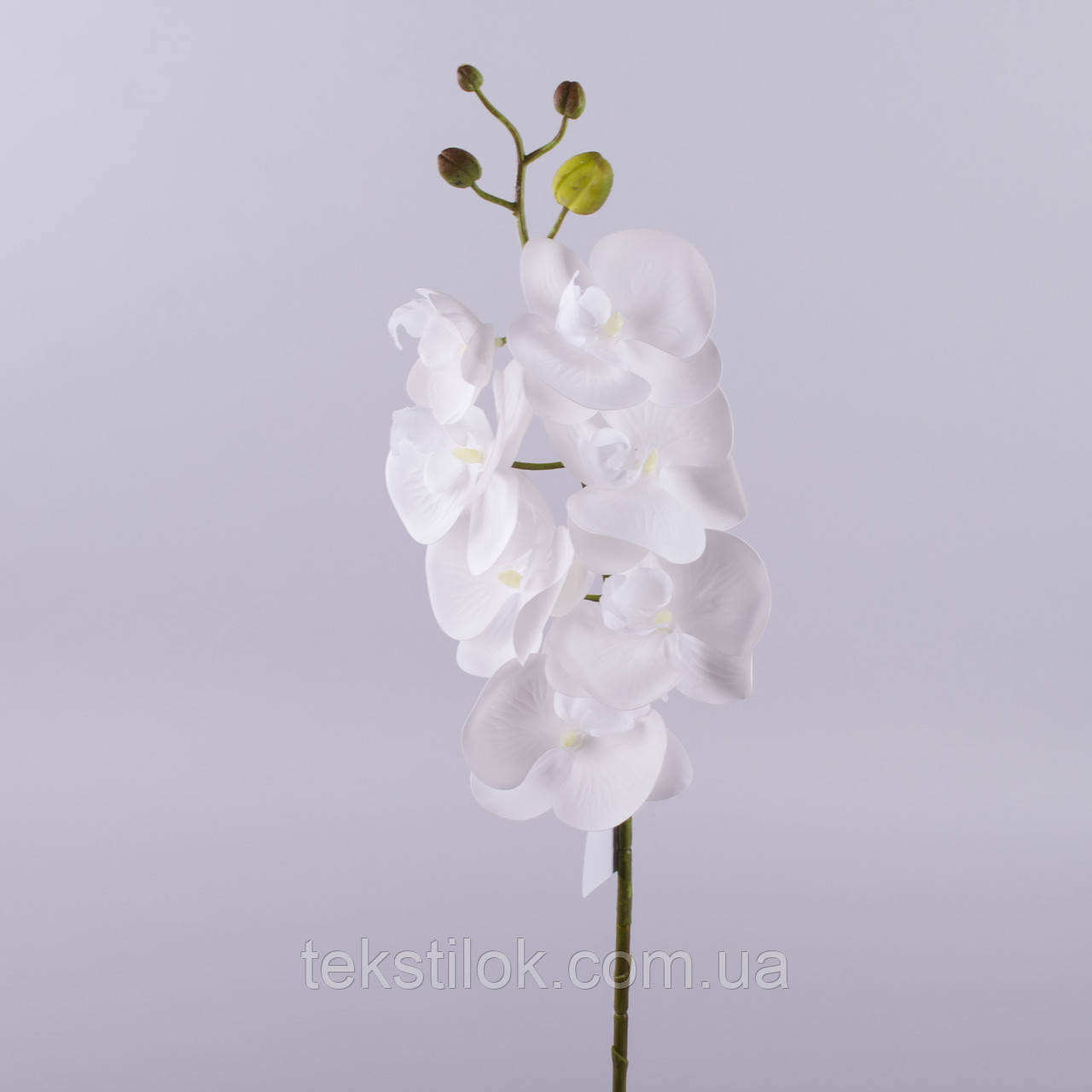 Орхідея латексна біла 70 см штучні Квіти