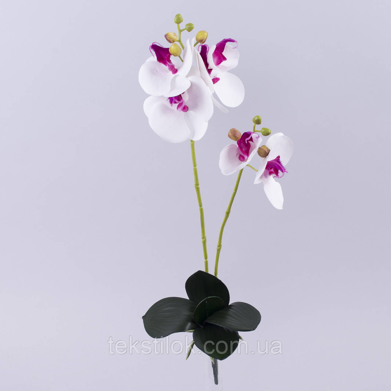 Орхідея латексна біло-рожева подвійна 50 см штучні Квіти