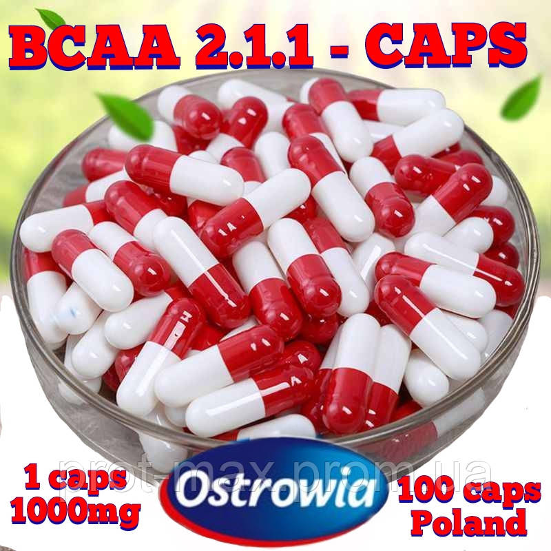 

Аминокислоты BCAA капсули Caps 2.1.1 (100кап)