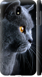 

Чехол на Samsung Galaxy J5 J530 (2017) Красивый кот (3038c-795), Черный