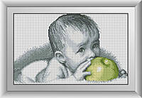 Алмазная мозаика Вкуснятина(малыш с яблоком) Dream Art 30077 25х40,5см 11 цветов, квадр.стразы, полная, фото 1