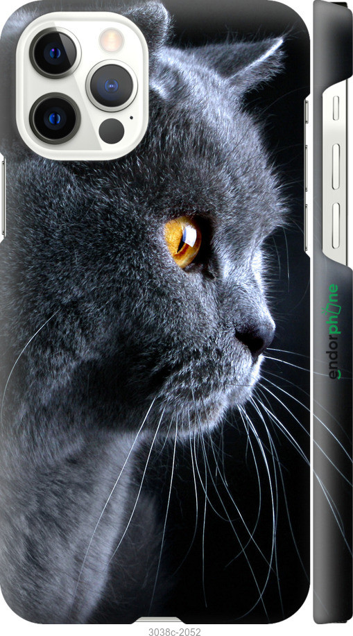 

Чехол на Apple iPhone 12 Pro Красивый кот "3038c-2052-40693", Черный