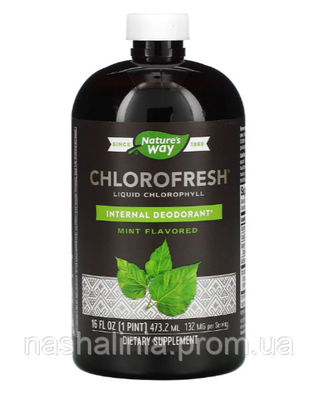 

Рідкий хлорофіл Nature's Way Chlorofresh Liquid Chlorophyll 473 ml (Mint