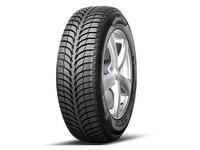 

Шина Sava Eskimo Ice 195/60 R15 88T