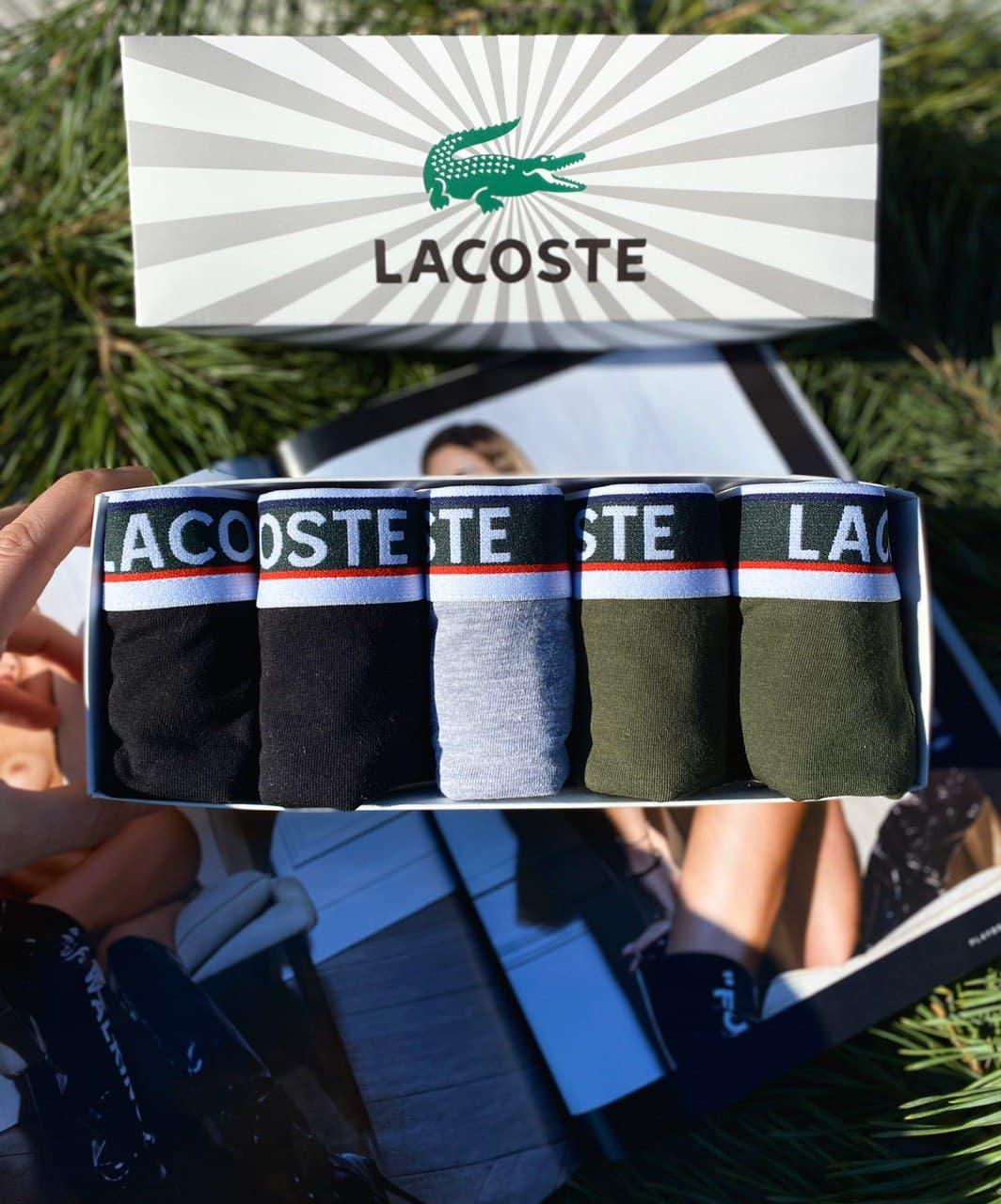 

Набор мужских трусов Lacoste (5шт) Лакоста Белый, XXL