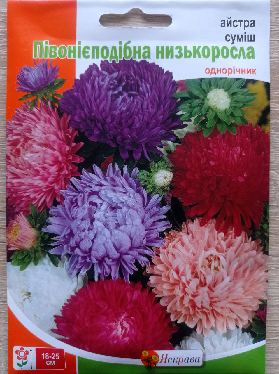 

Айстра Півонієподібна низька суміш 3г, Яскрава, Разные цвета