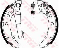 

Тормозные колодки задние Ауди, Сиат, Фольксваген (пр-во TRW GS8166)