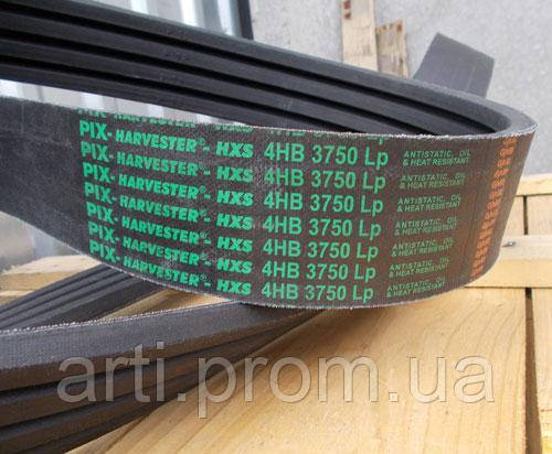 

Ремень приводной 4НВ-3750 PIX HARVESTER