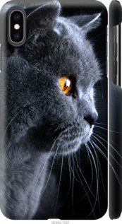 

Чехол на Apple iPhone XS Max Красивый кот "3038c-1557-47128", Черный