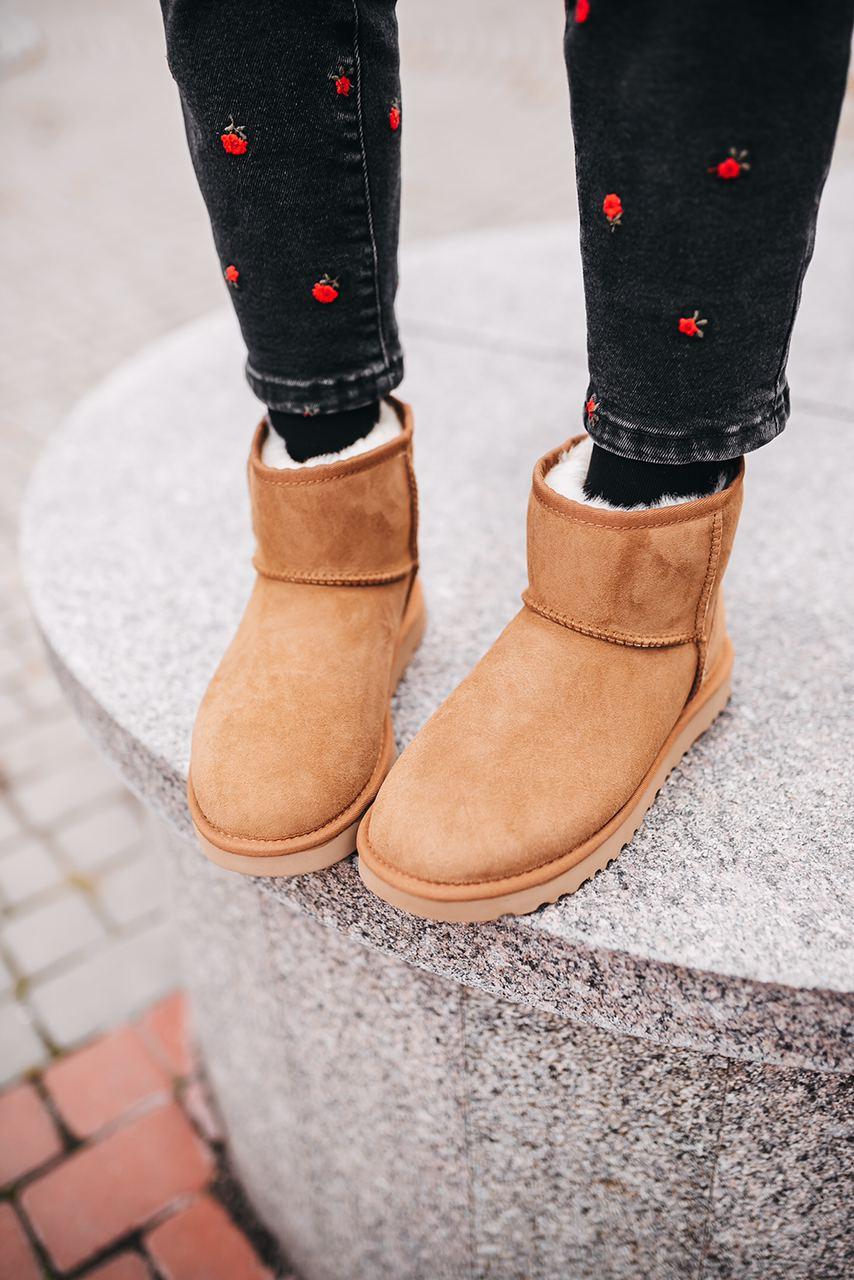 

Женские зимние сапоги UGG Classic Mini Brown / Угги Классик Коричневые 40