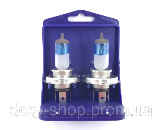 

ЯПОНСКИЕ Лампы свет в фару XENON Raybrig H4 12V 100W автолампа эффект ксенона / холодный белый ( 4.12.100.R.S)
