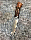 Мисливський ніж Colunbia А3167 - 27,5 см / 823, фото 4