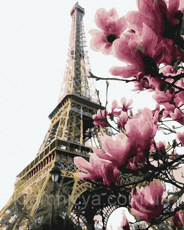 Картина за номерами 40x50 Цвітіння Парижа (GX39469)