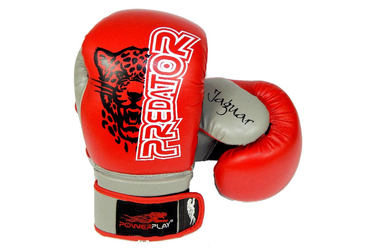 Боксерські рукавиці PowerPlay 3008 Червоні 10 унцій