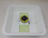Инкубатор для яиц Рябушка 2 70 Smart plus, механический, цифровой терморегулятор, фото 8
