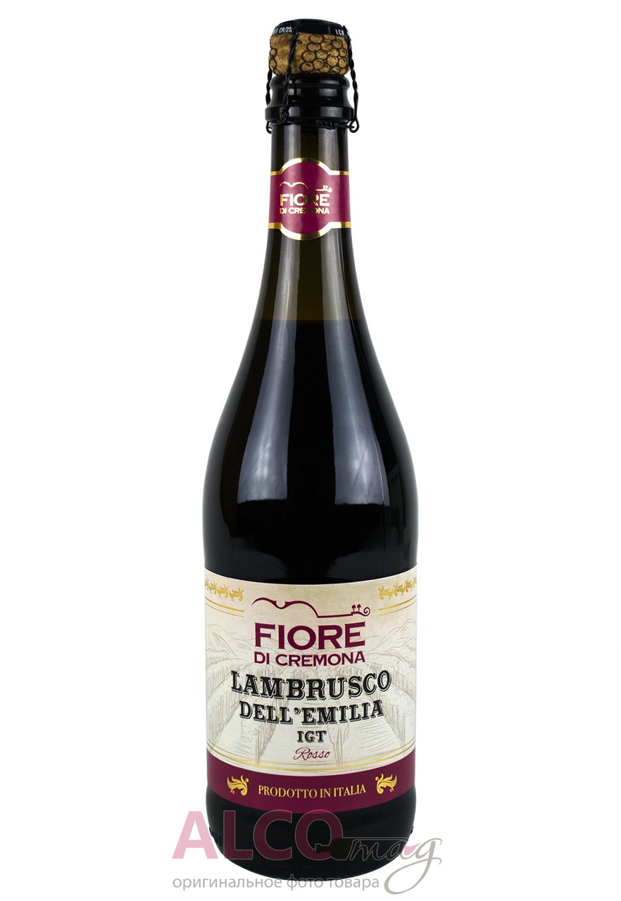 Lambrusco dell emilia цена. Красное игристое вино Lambrusco. Вино полуигристое. Lambrusco Fior шампанское. Вино Decordi Sangiovese, marche IGT, 0.75 Л.