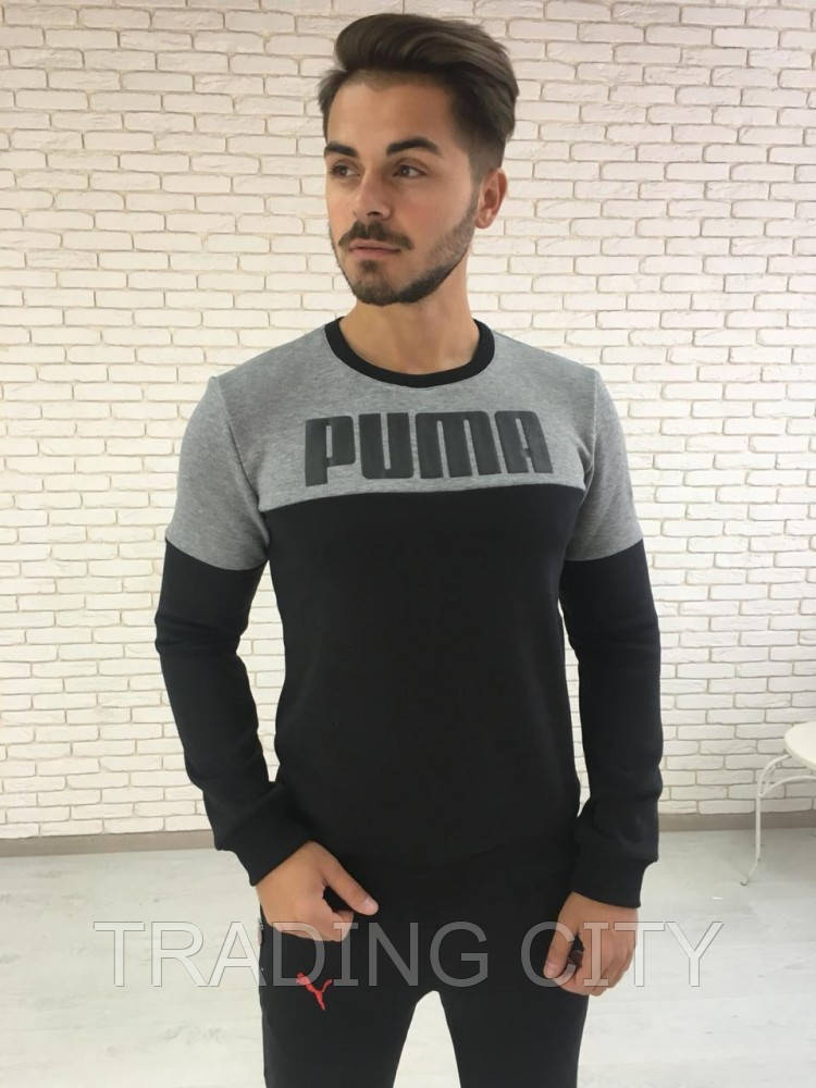 

Мужская толстовка с начесом Puma серо-черная