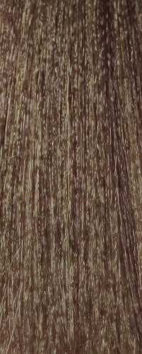 

EARTH COLOUR Безаммиачная крем-краска 100мл 8.02/8NV светлый блондин Ирис