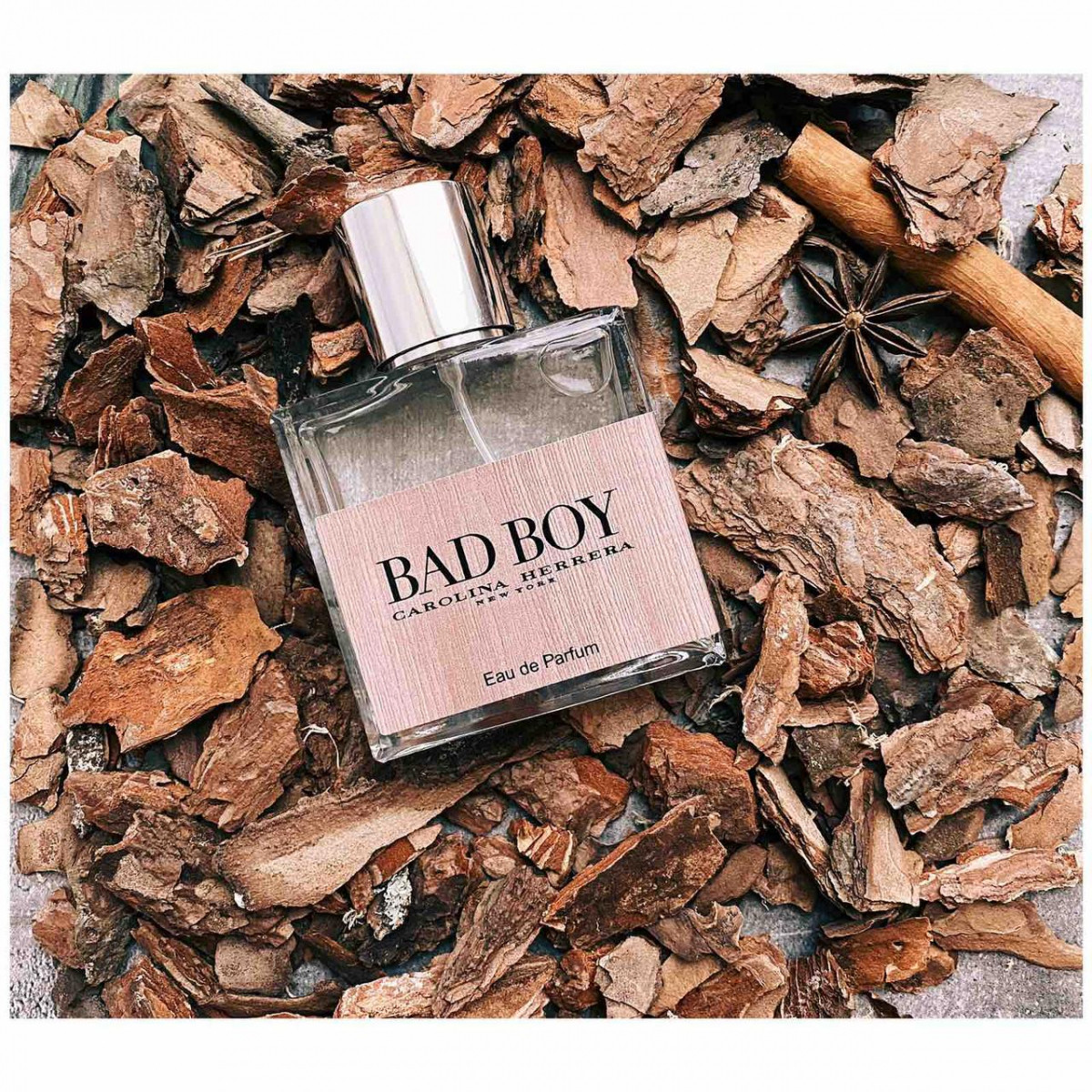 

Carolina Herrera Bad Boy - Perfume house Tester 60ml