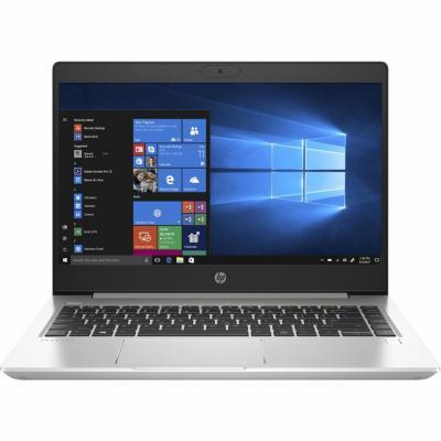 

Ноутбук HP ProBook 445 G7 (7RX17AV_V10), Серебристый