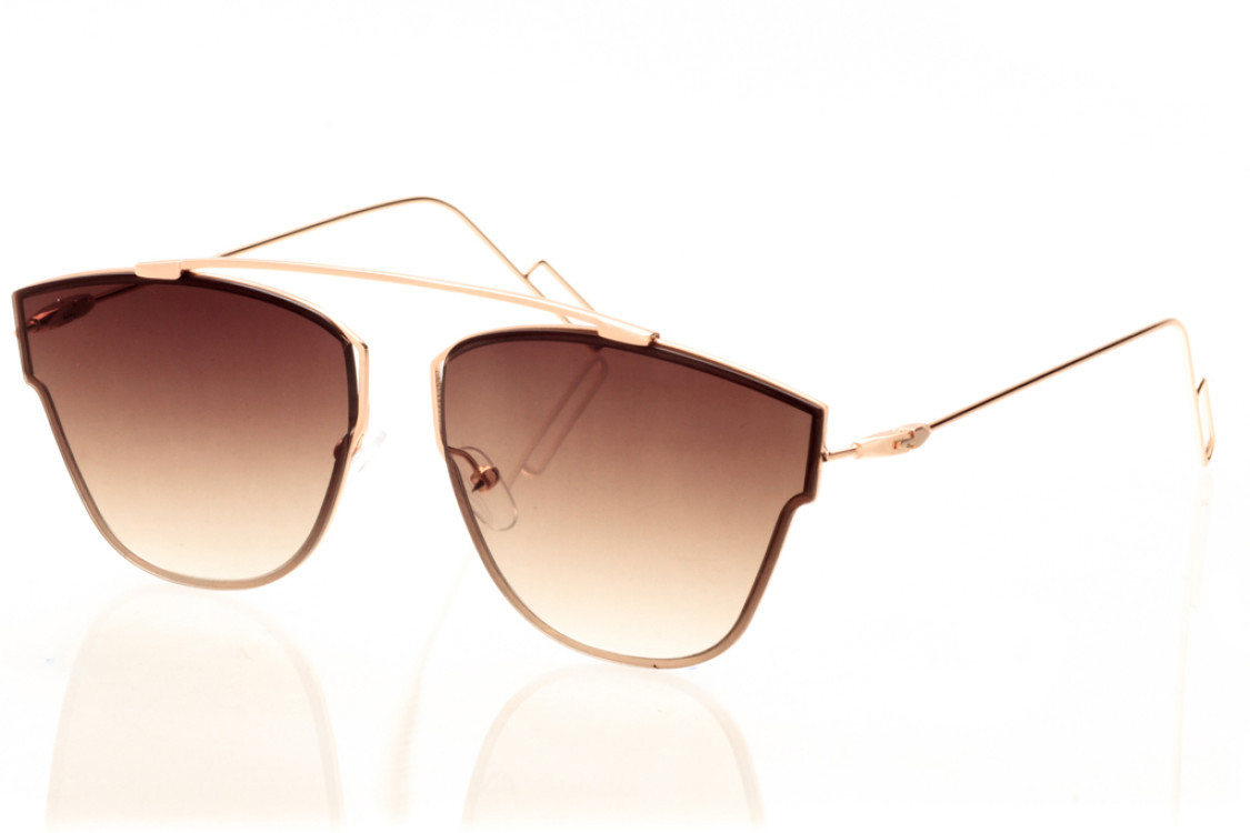 

Женские солнцезащитные очки Dior-Techno-brown SKL26-147449