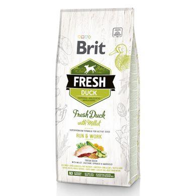 

Сухой корм для активных собак всех пород Brit Fresh Duck with Millet 12 кг (утка)