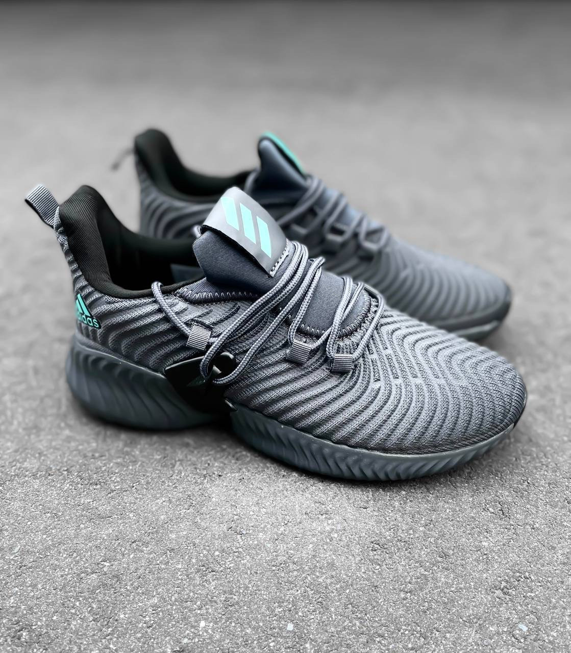 

Кроссовки мужские серые Adidas Alphabounce Instinct 45, 28, Серый