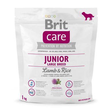 

Сухой корм для щенков и молодых собак весом от 25 кг Brit Care Junior Large Breed Lamb & Rice 1 кг